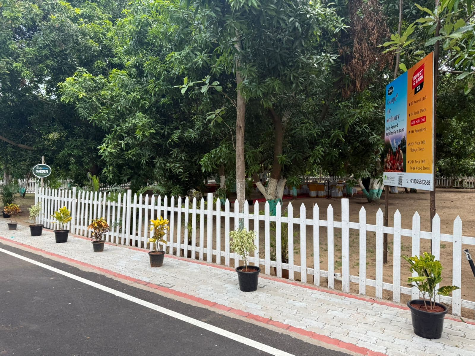 Secure your future!!! Invest in Farmland to safeguard your future/generations. - Image 22