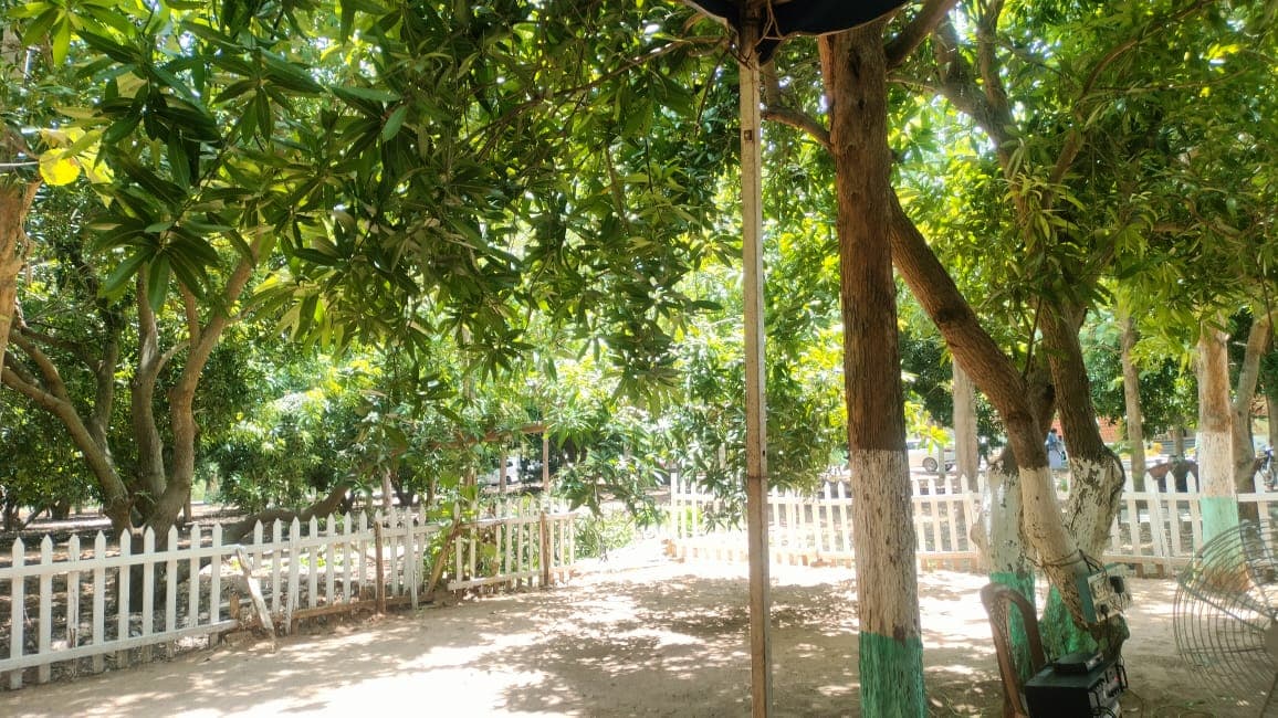 Secure your future!!! Invest in Farmland to safeguard your future/generations. - Image 7