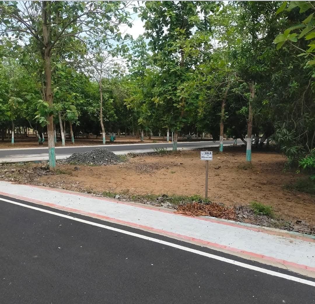 Secure your future!!! Invest in Farmland to safeguard your future/generations. - Image 9