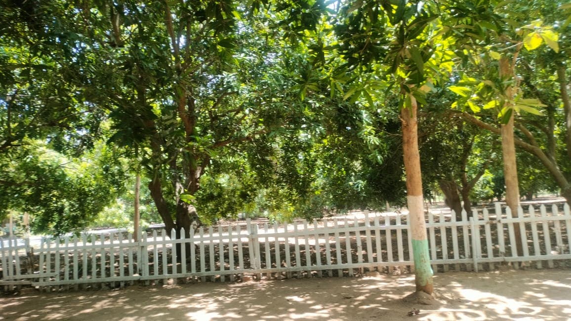 Secure your future!!! Invest in Farmland to safeguard your future/generations. - Image 14