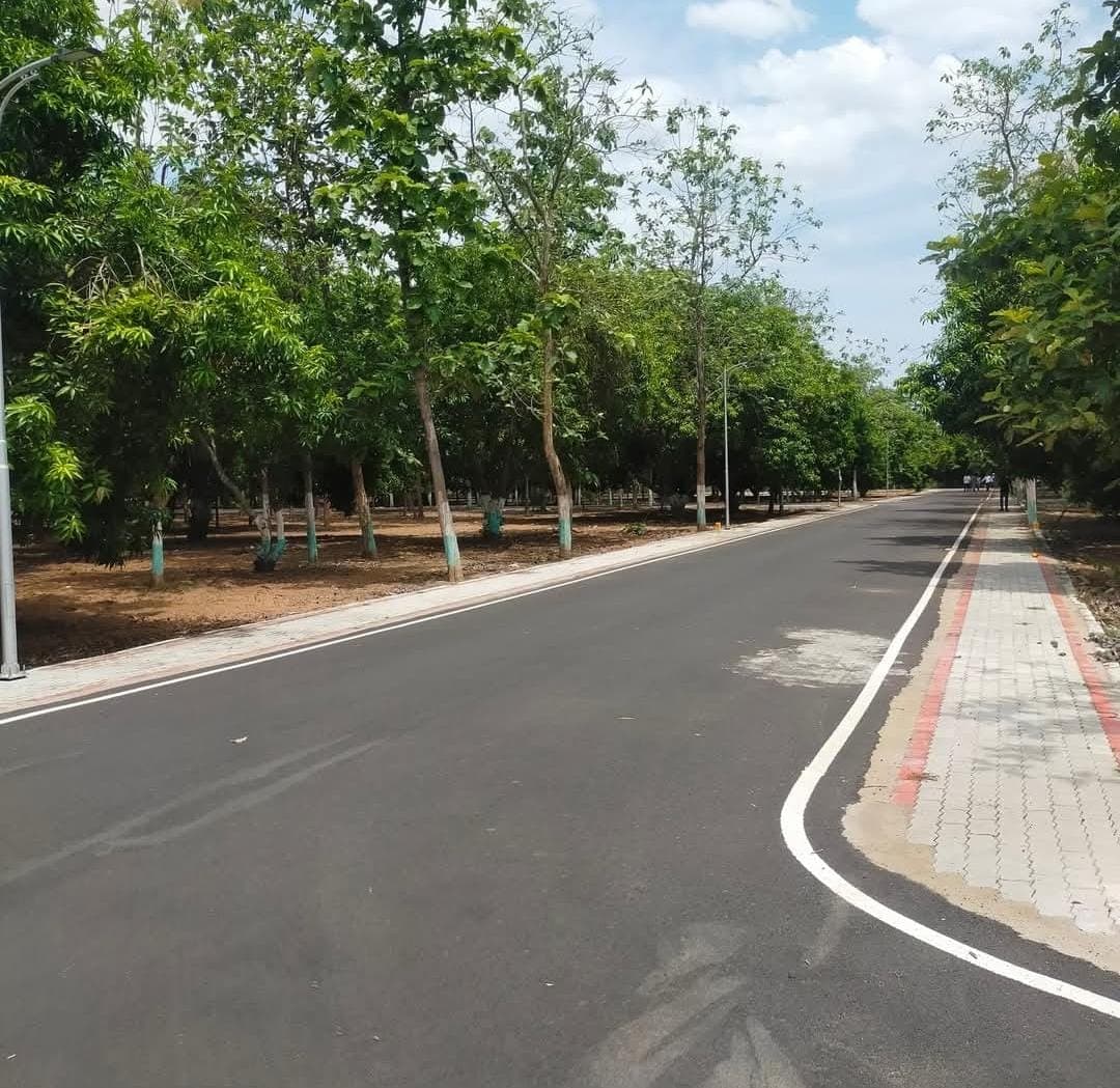 Secure your future!!! Invest in Farmland to safeguard your future/generations. - Image 12