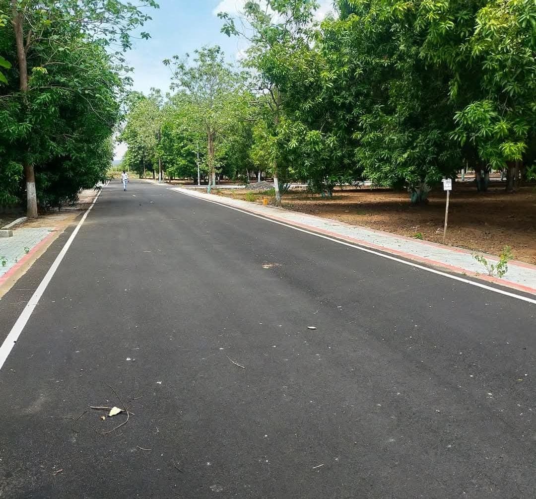 Secure your future!!! Invest in Farmland to safeguard your future/generations. - Image 11